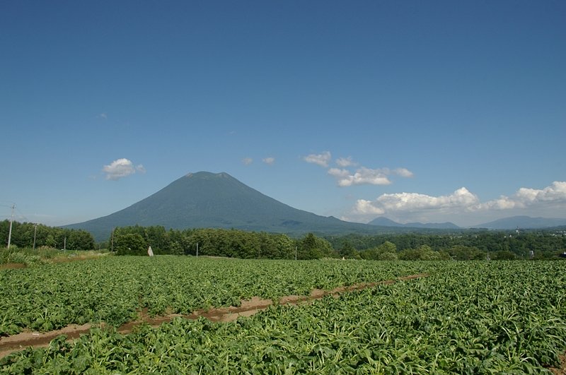 ニセコの風景４