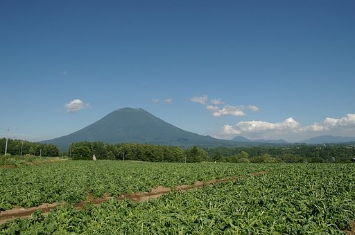 ニセコの風景４