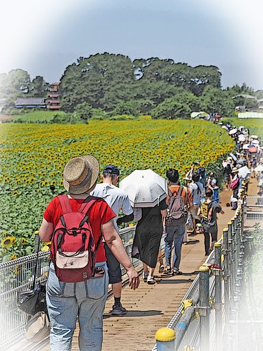 坂のある風景～清瀬ひまわりフェスティバル～