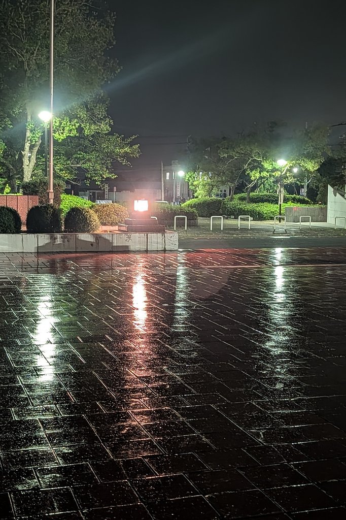 雨の石畳
