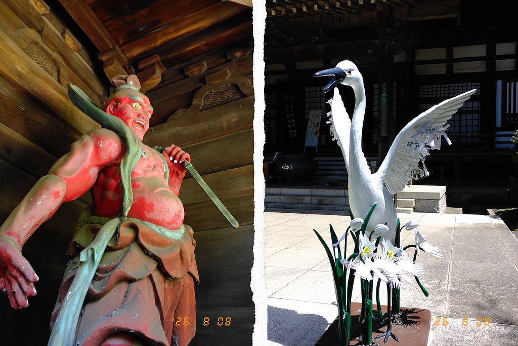 赤と白