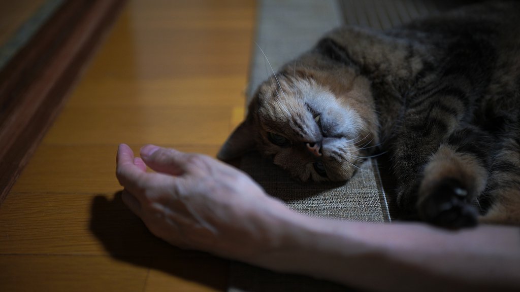至福の時