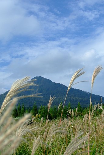 烏ヶ山