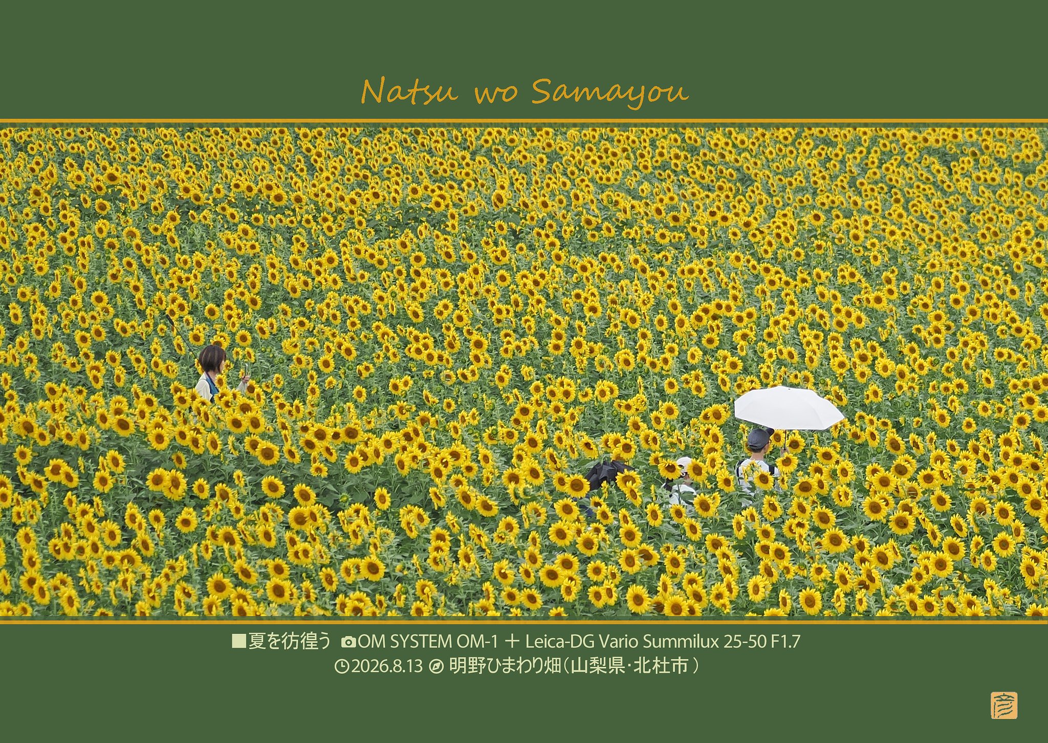 夏を彷徨う(望遠端)