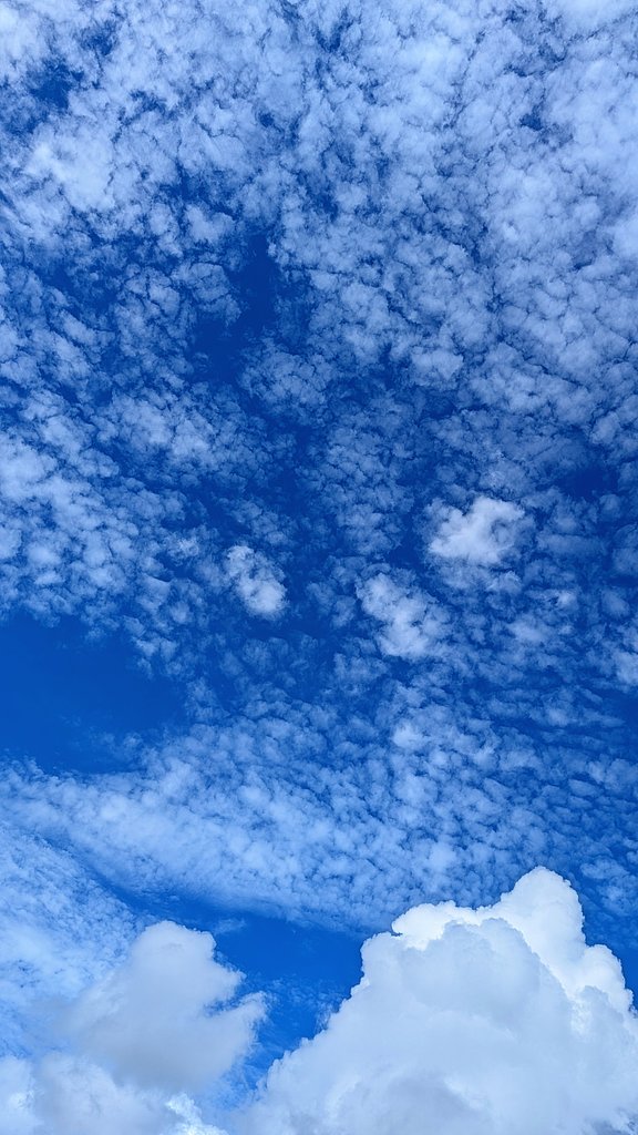 秋隣の空