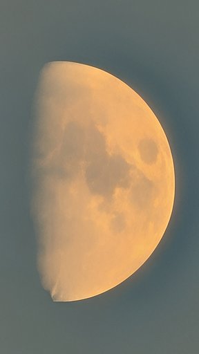 九夜月