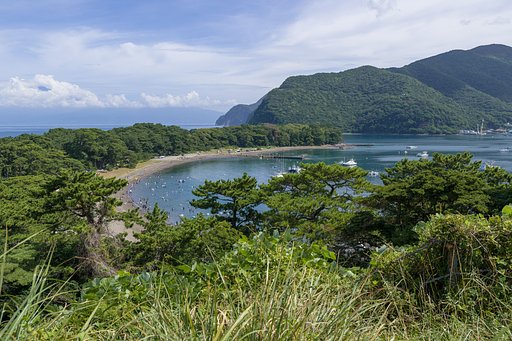 戸田港も海水浴場に