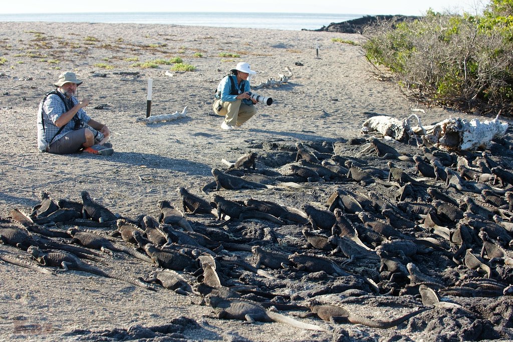 Galapagos 15
