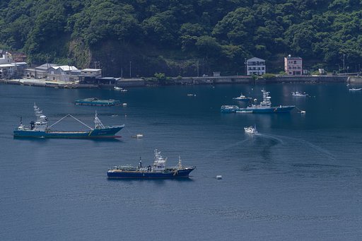 静かな港