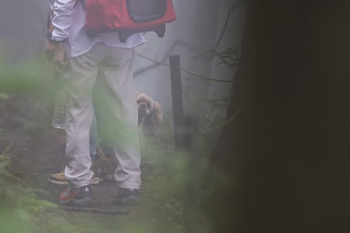 霧の散策路にて