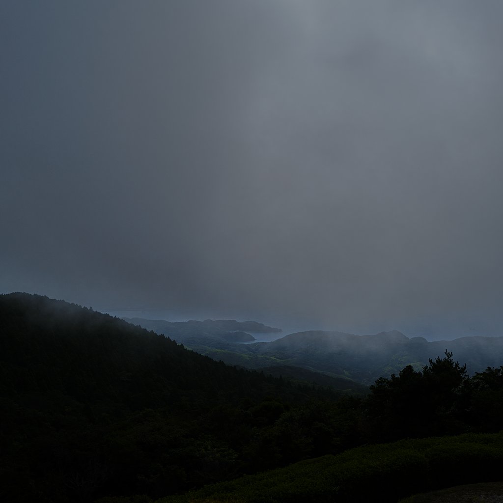 朝霧の中