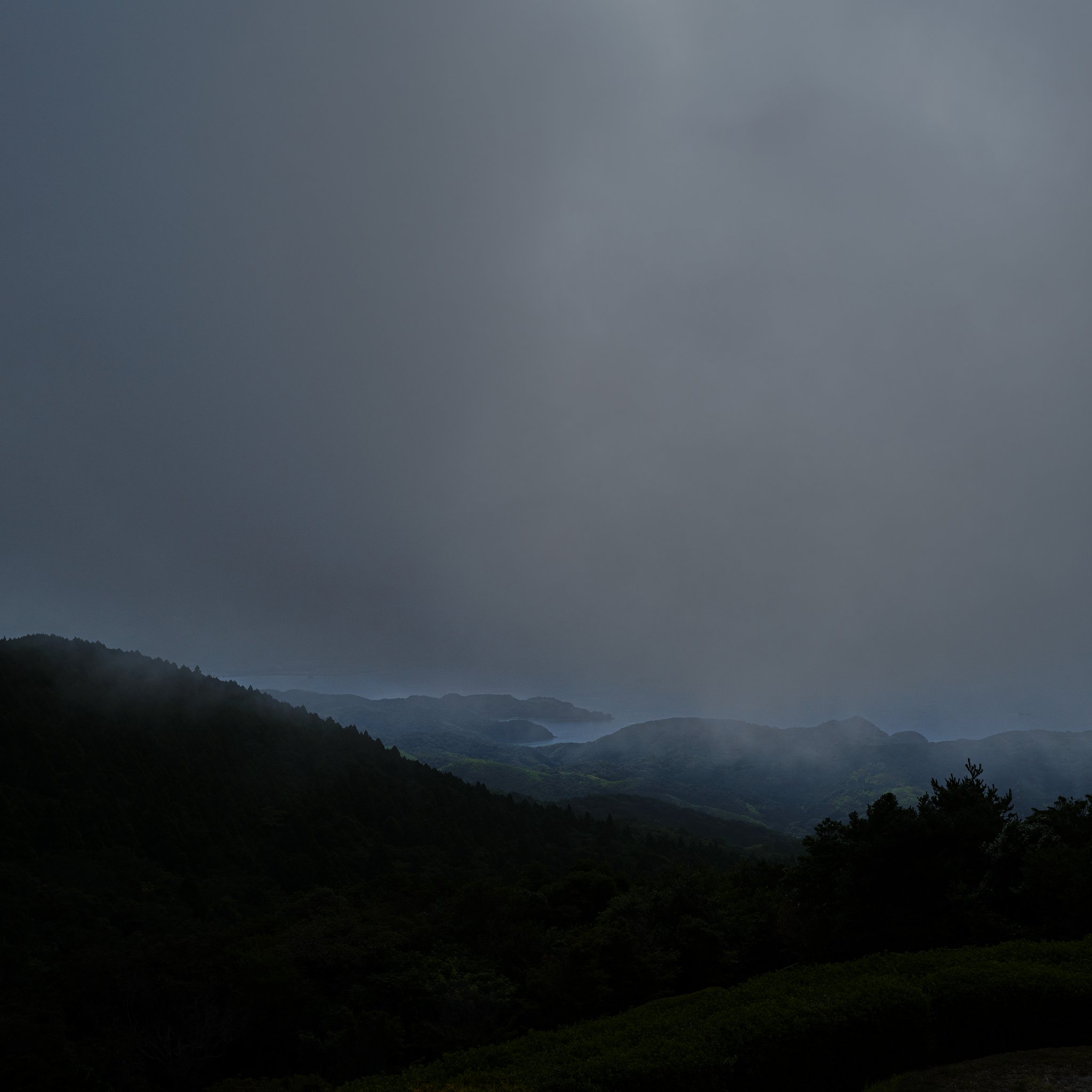 朝霧の中