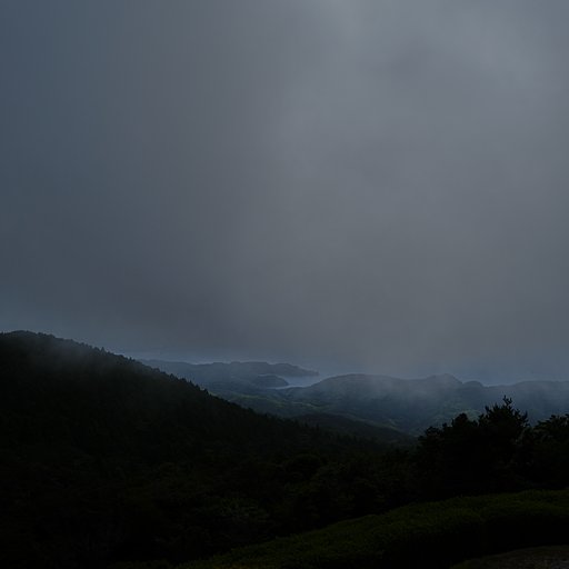 朝霧の中