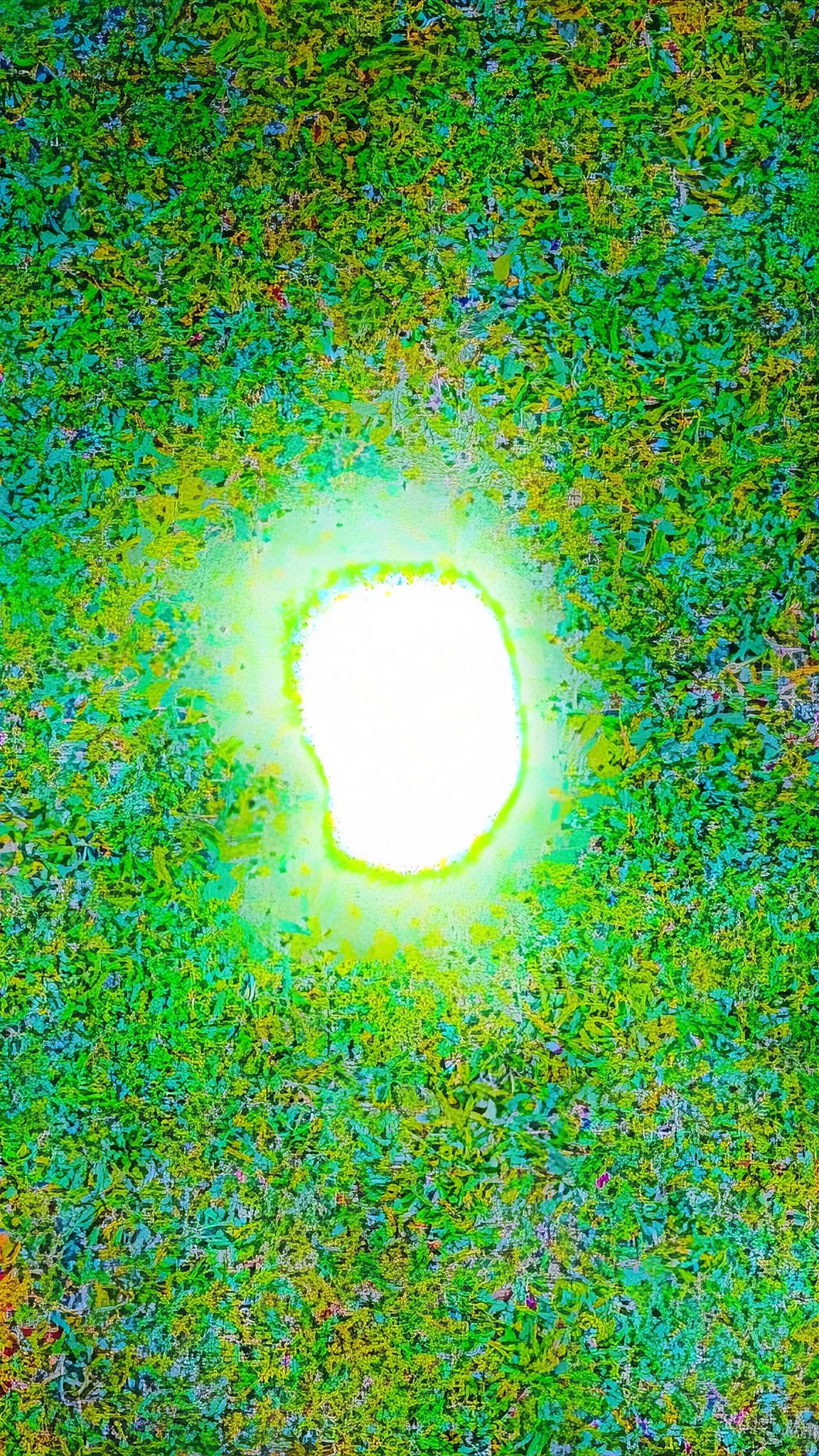 超新星爆発！？ ではありません