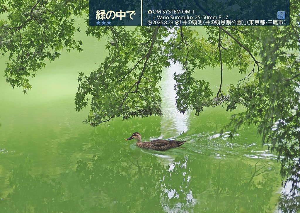 緑の中で〜トリミング版〜