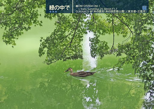 緑の中で〜トリミング版〜