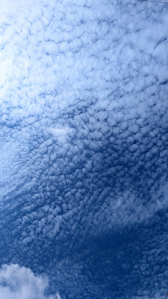 鱗雲