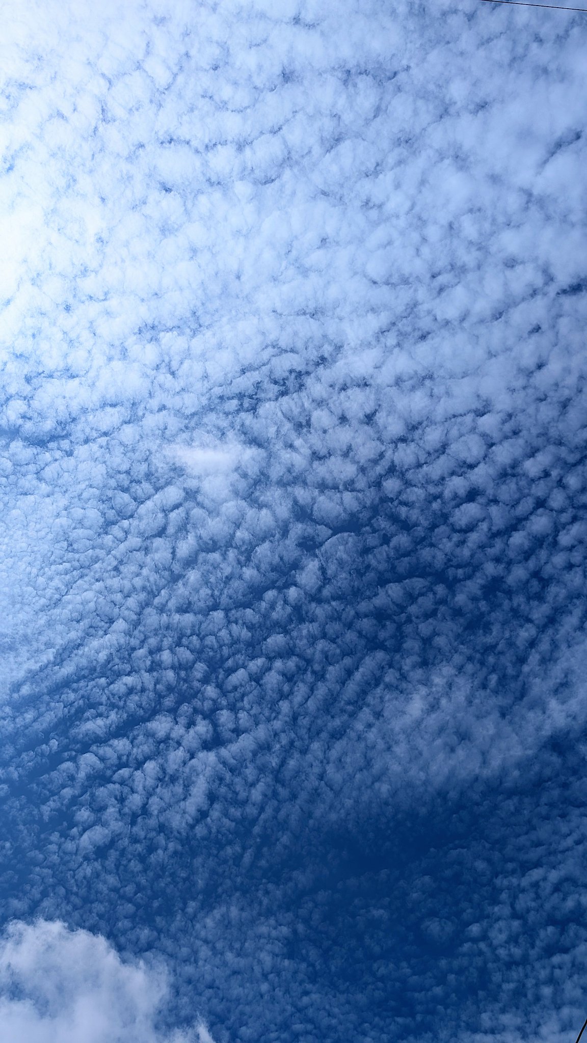 鱗雲