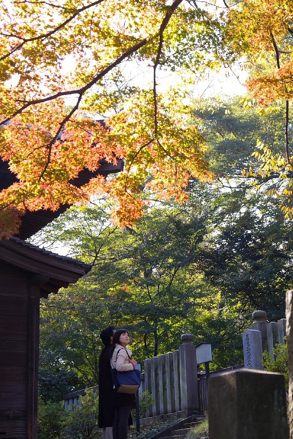 紅葉の光と空気の中で