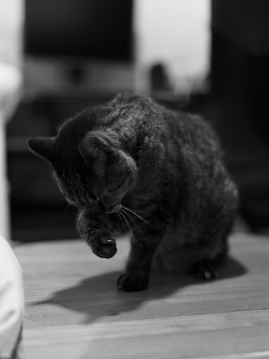 秋を感じて