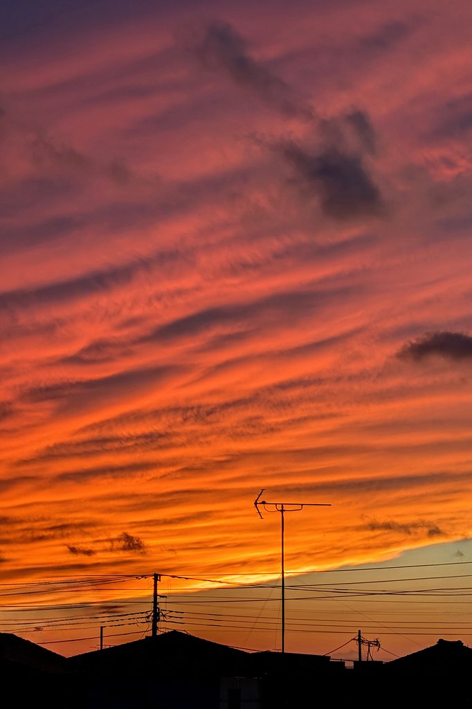 夕焼け