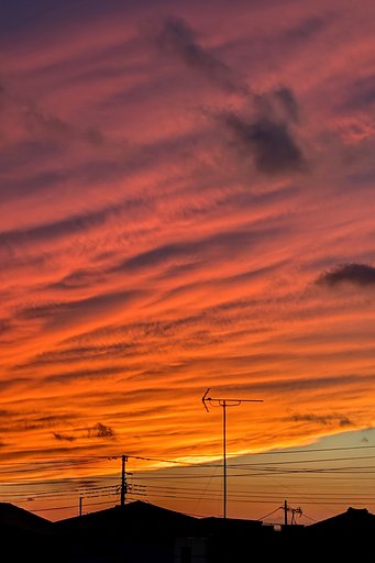 夕焼け