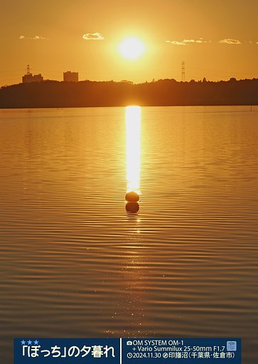 【シルエット】「ボッチ」の夕暮れ