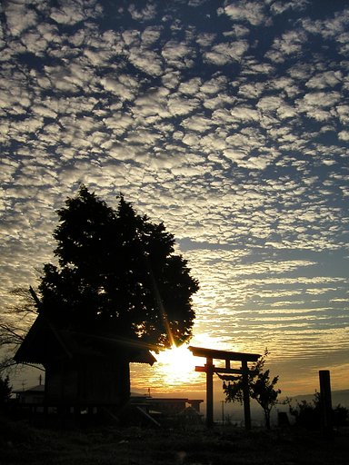 冬の夕暮れ