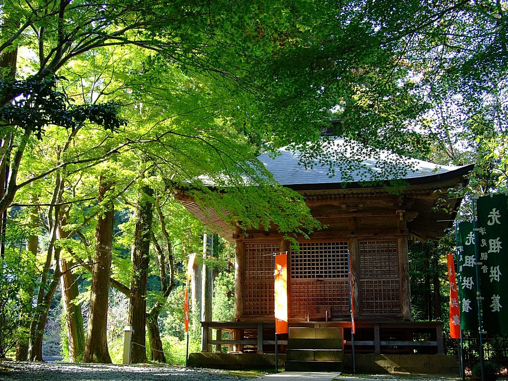 色付けば…