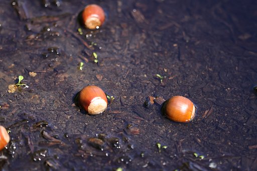 久々の晴れ その６  大雨の名残