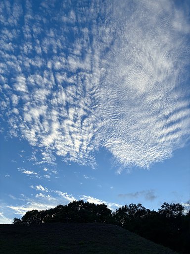 9月17日の写真