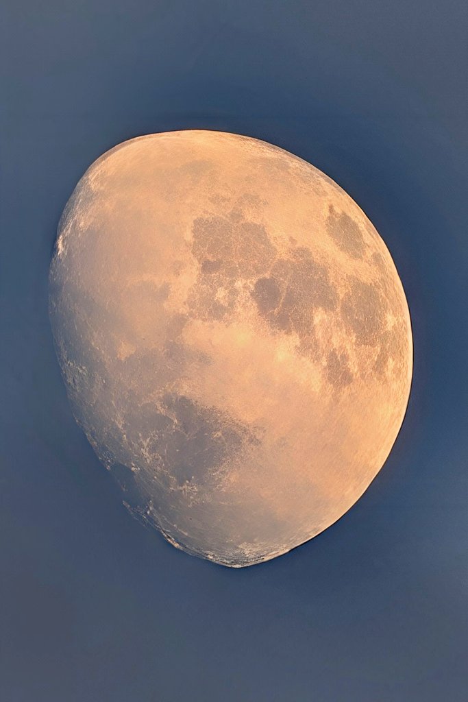十二夜月