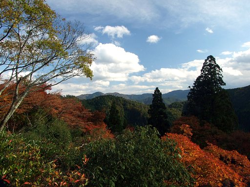 鞍馬山の紅葉