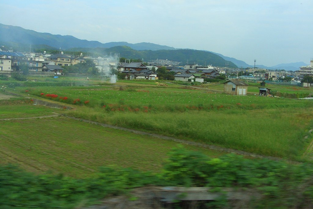 風景