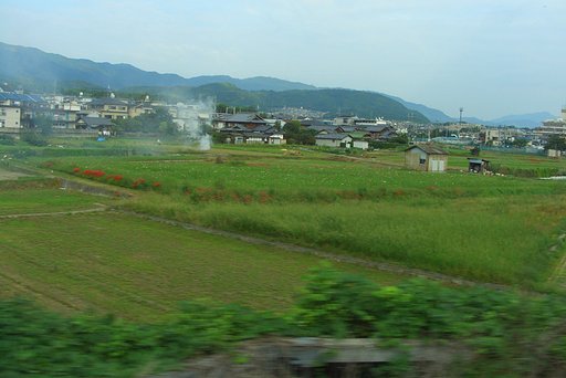 風景