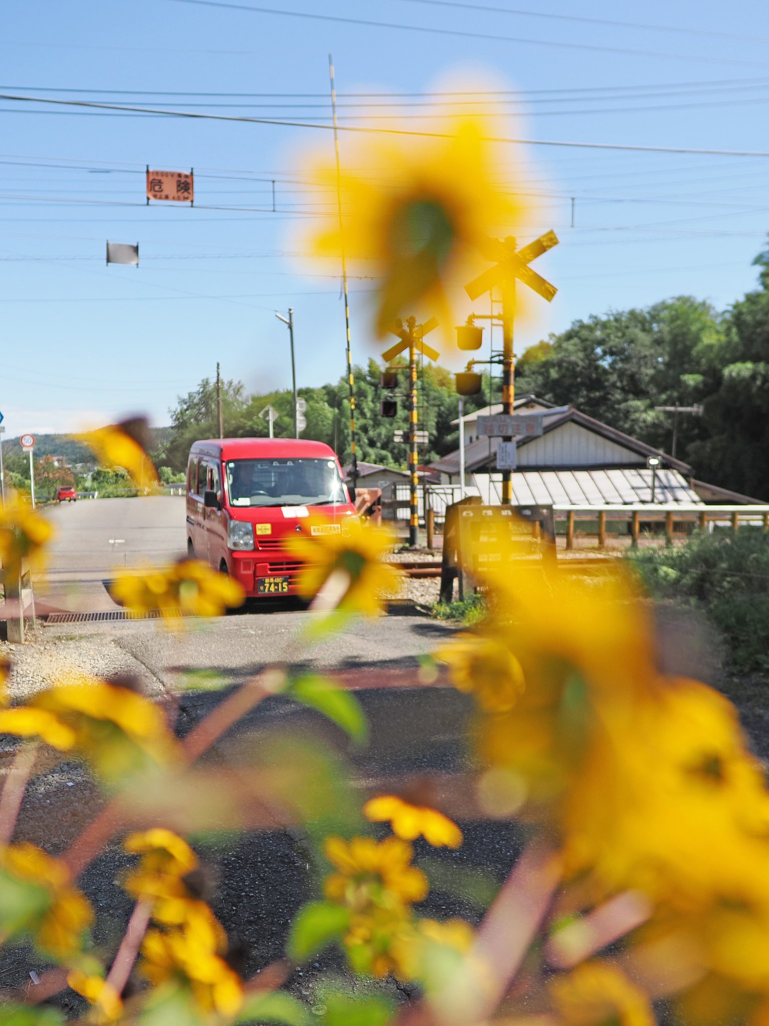 夏のたより