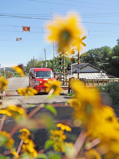 夏のたより