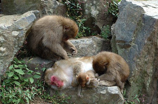 まどろみ