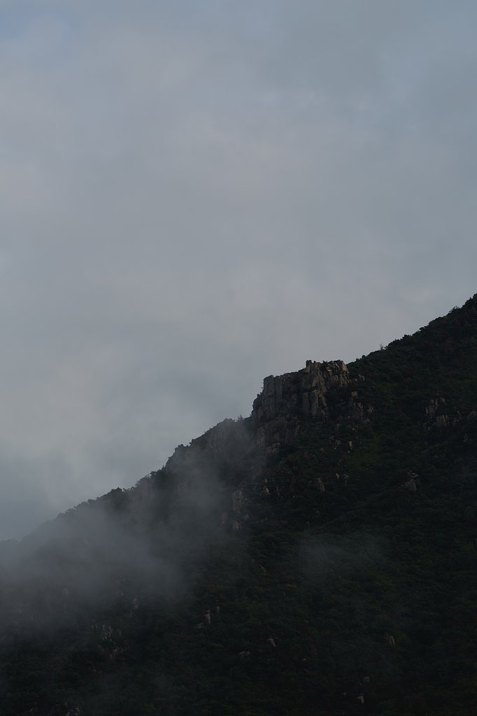 霧