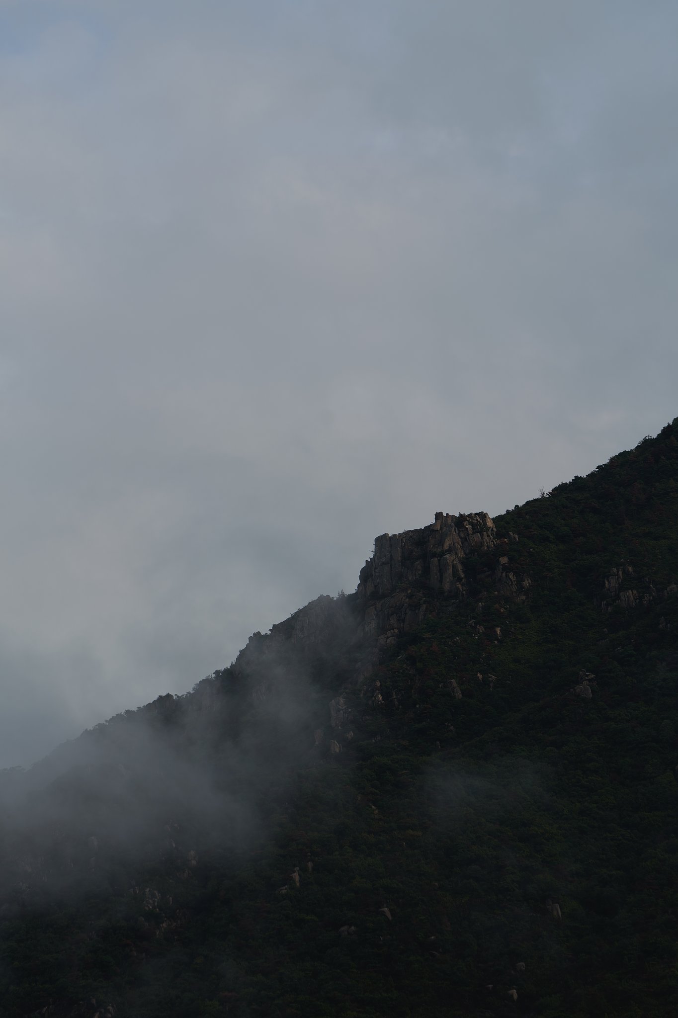 霧