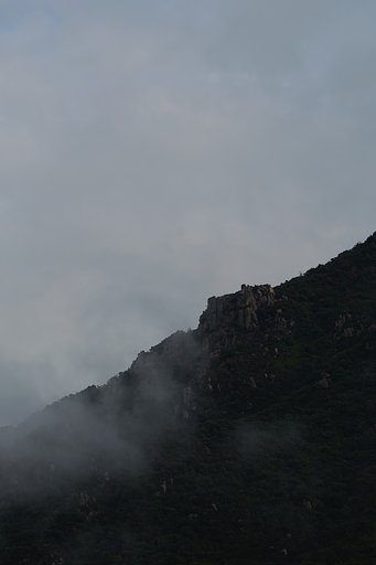 霧