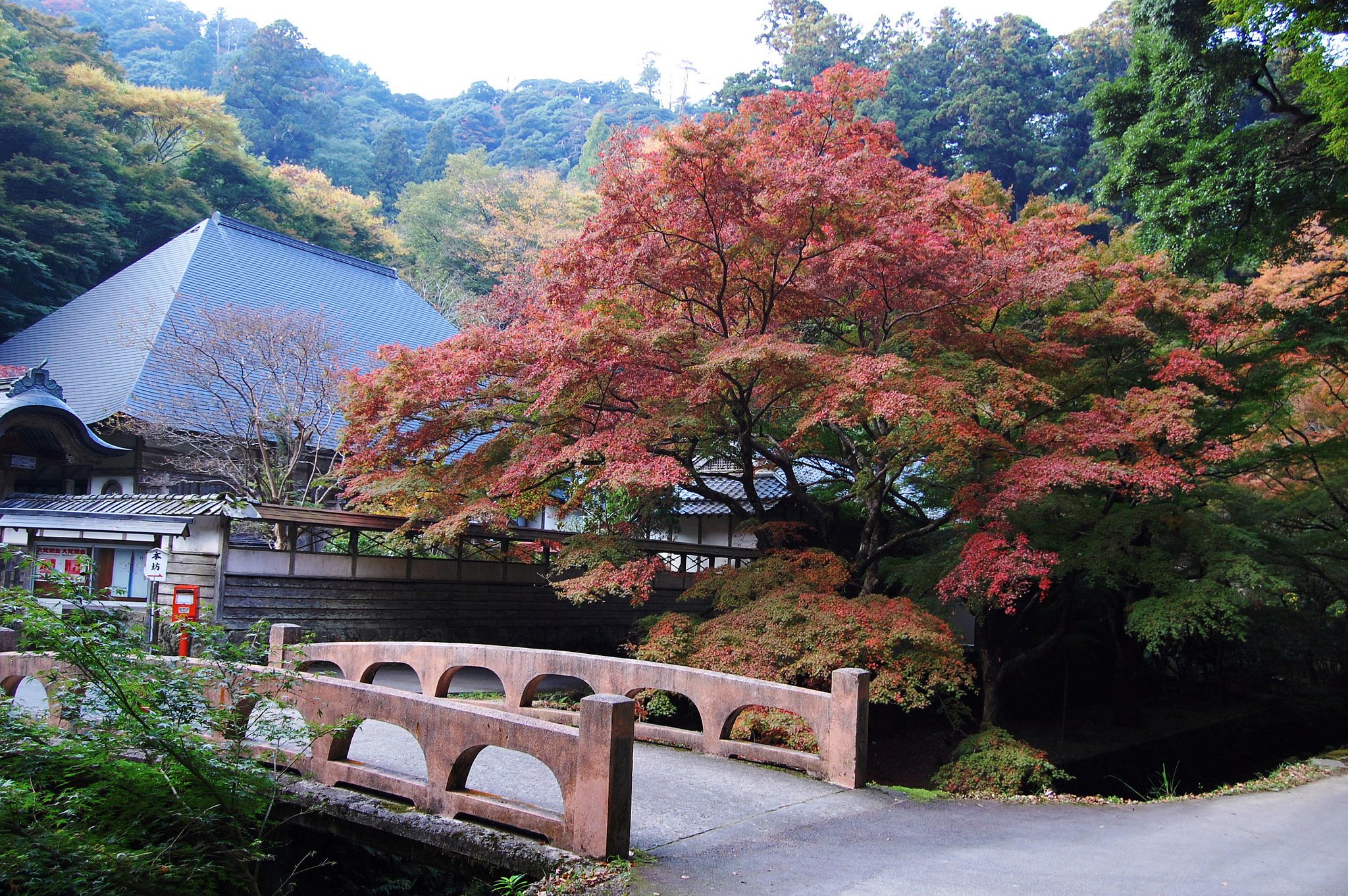 紅葉