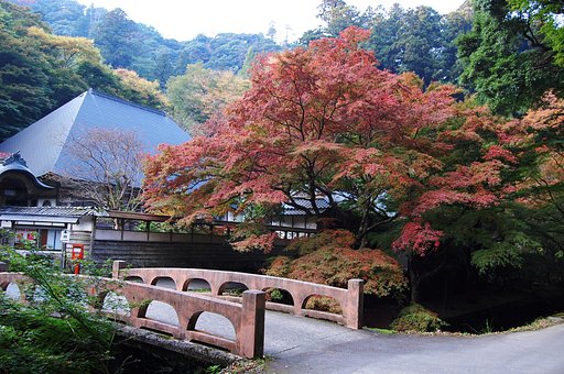 紅葉