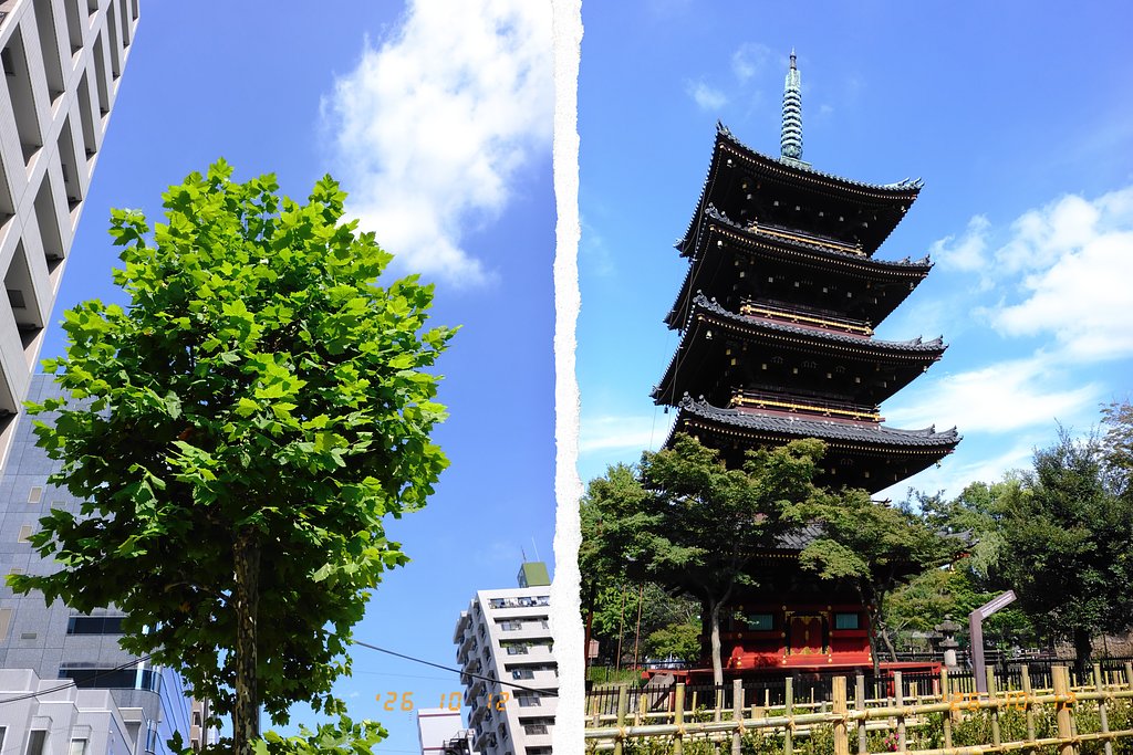 秋の空
