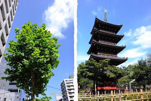 秋の空