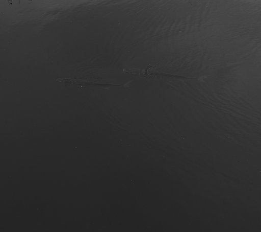 Black in Black
