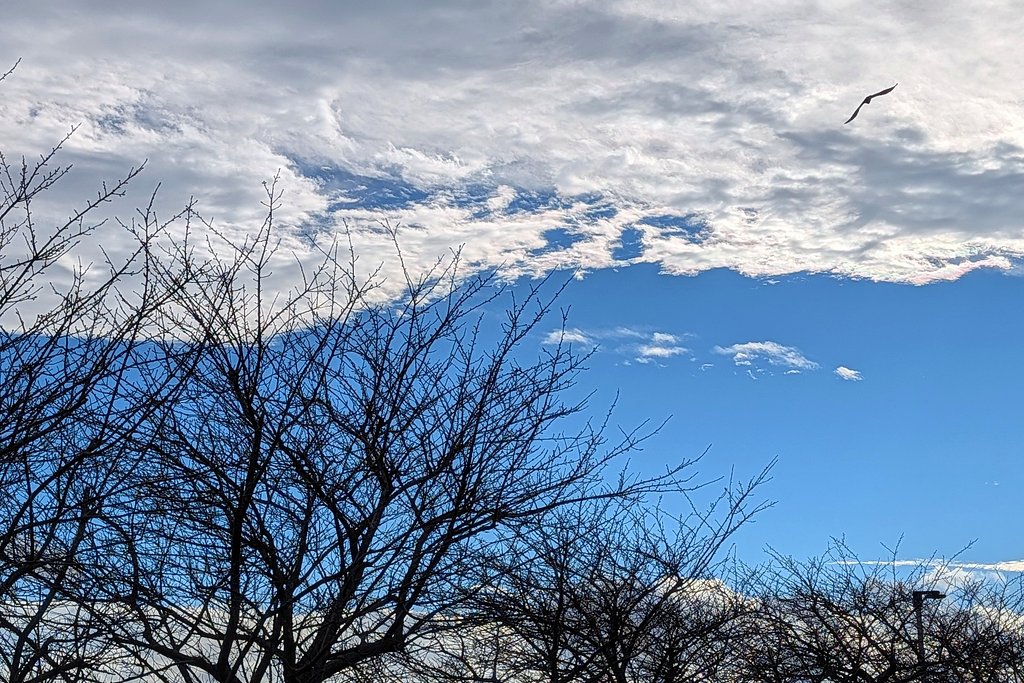 紺碧の空と白い雲