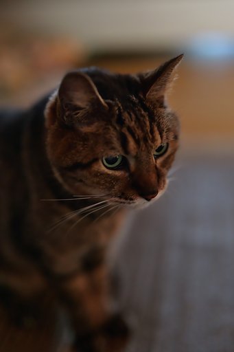 10月17日の写真