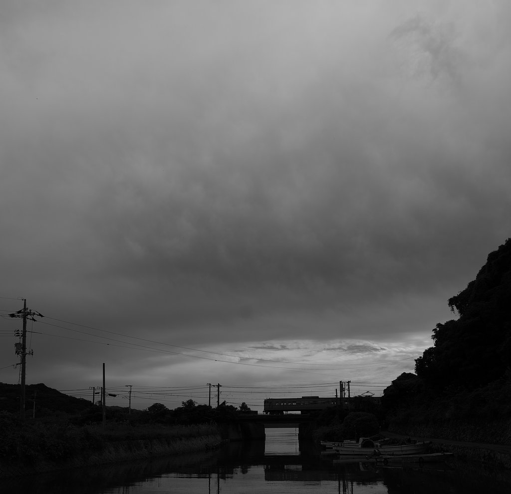 白と黒