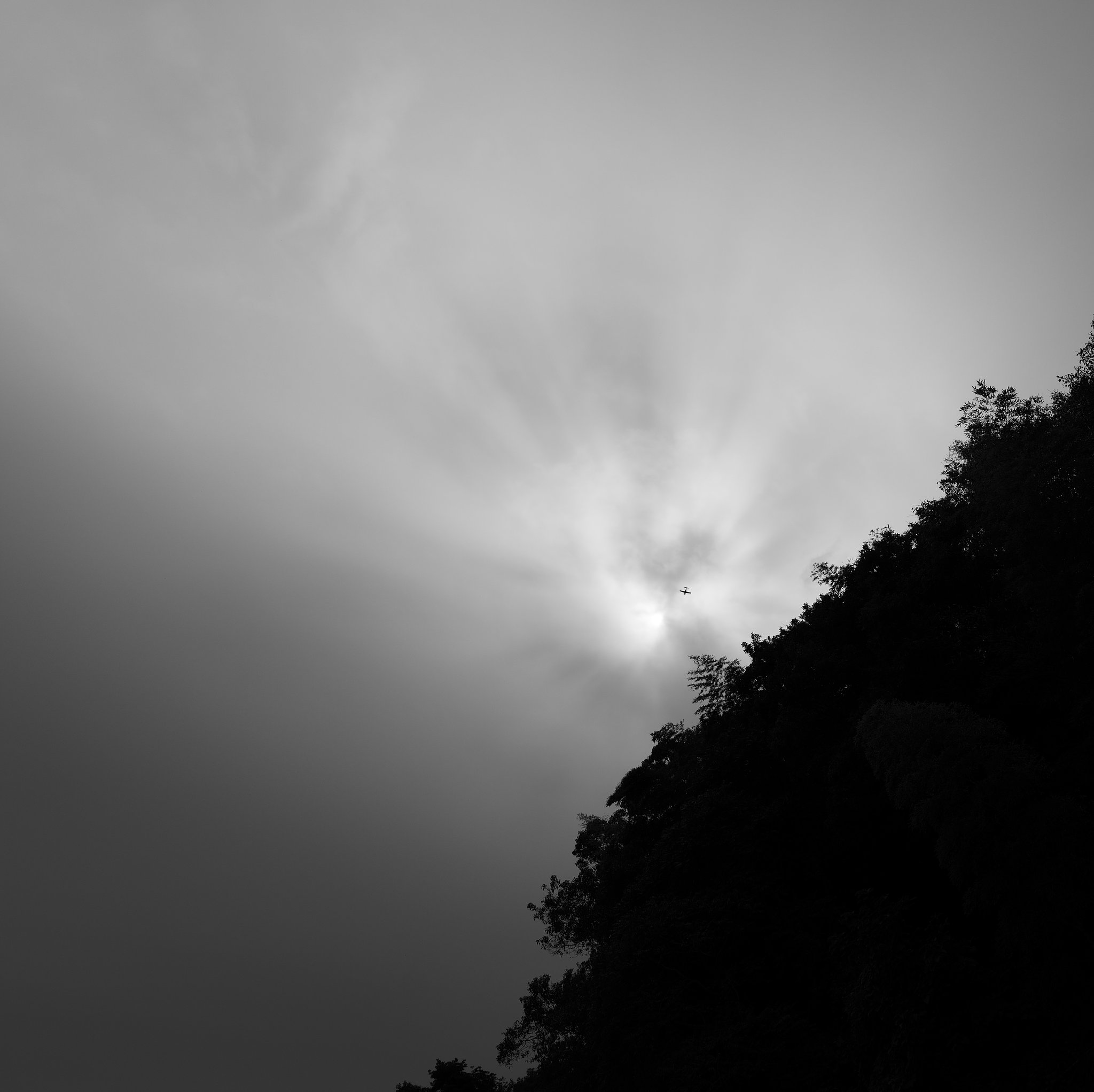 空をゆくもの